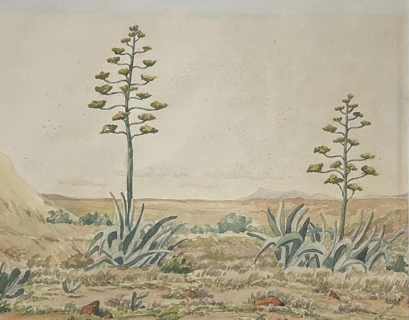 ORIGINAL P. WHITWORTH - WATER COLOUR PAINTING IN GOLD FRAME - KAROO WILDERNESS