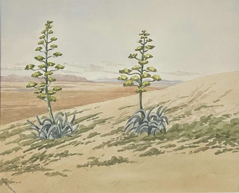 ORIGINAL P. WHITWORTH - WATER COLOUR PAINTING IN GOLD FRAME - KAROO LANDSCAPE