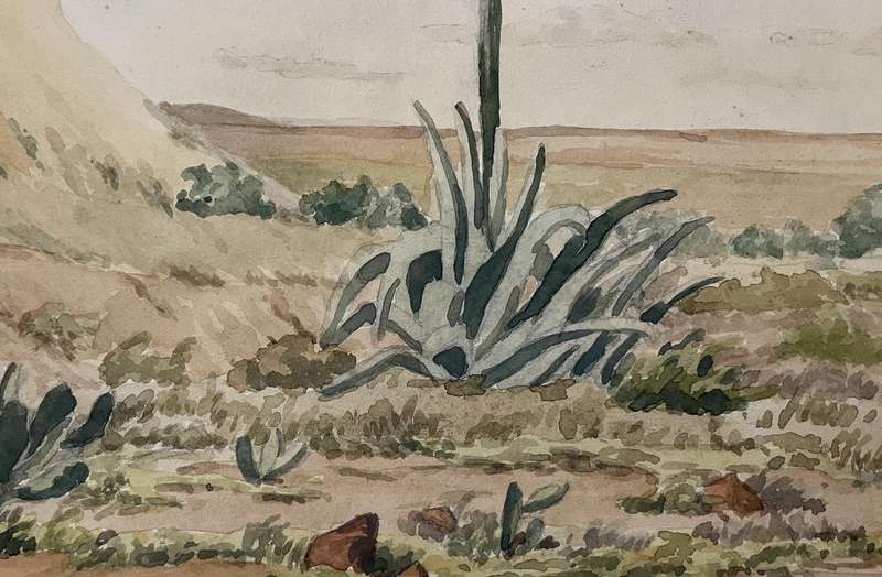 ORIGINAL P. WHITWORTH - WATER COLOUR PAINTING IN GOLD FRAME - KAROO WILDERNESS