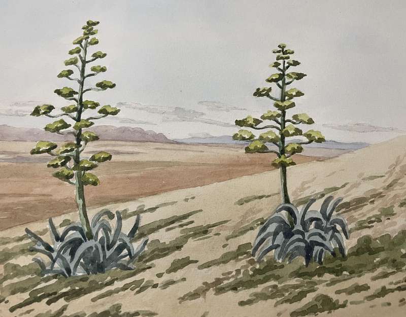 ORIGINAL P. WHITWORTH - WATER COLOUR PAINTING IN GOLD FRAME - KAROO LANDSCAPE