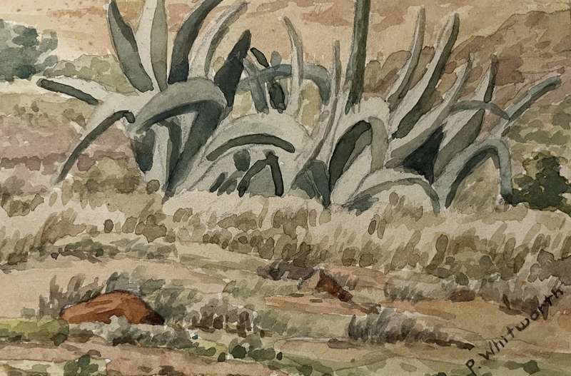 ORIGINAL P. WHITWORTH - WATER COLOUR PAINTING IN GOLD FRAME - KAROO WILDERNESS
