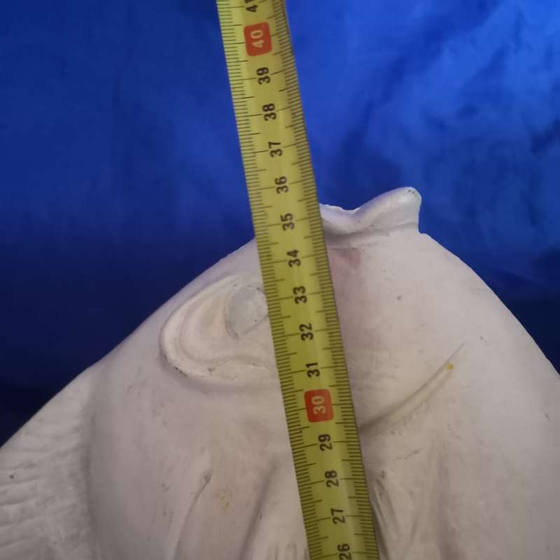 Large Ceramic Angel fish. Beautiful Display piece