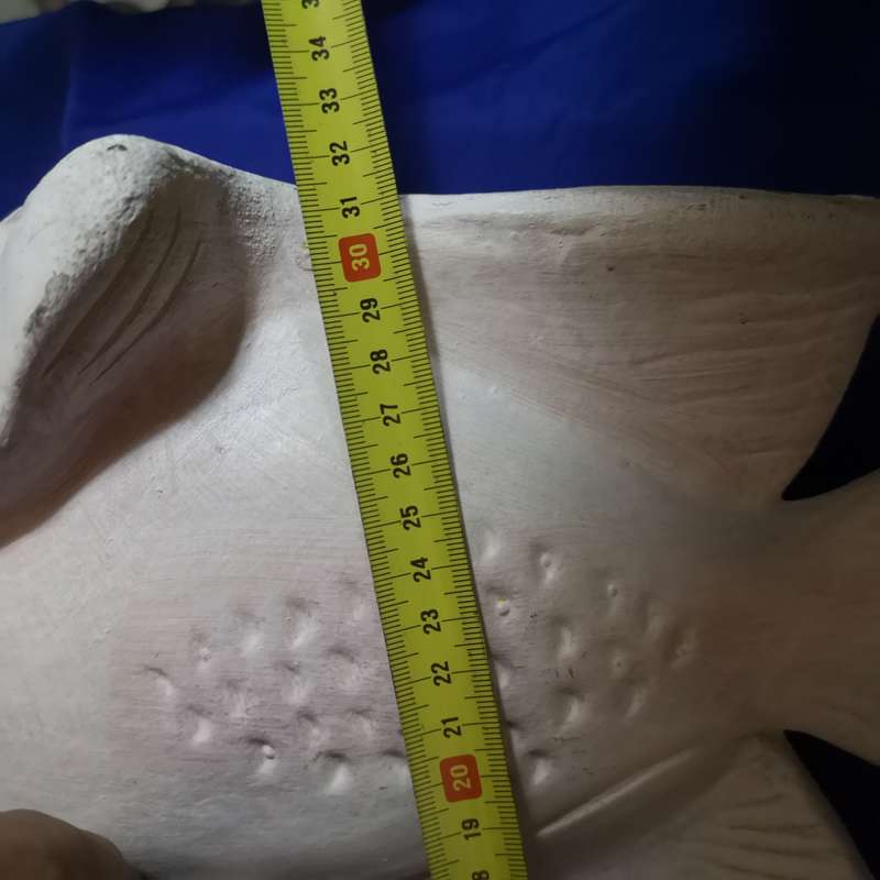 Large Ceramic Angel fish. Beautiful Display piece