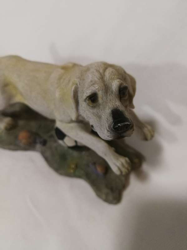 Golden Labrador Playing with Football by Chelsey Giftware