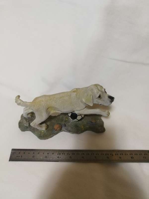 Golden Labrador Playing with Football by Chelsey Giftware