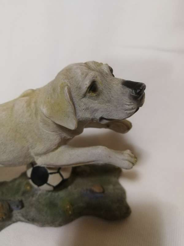 Golden Labrador Playing with Football by Chelsey Giftware