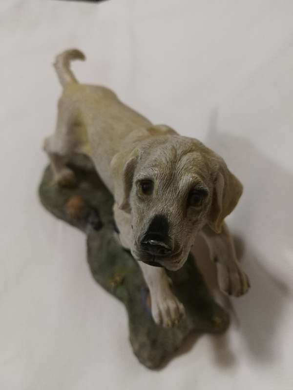 Golden Labrador Playing with Football by Chelsey Giftware