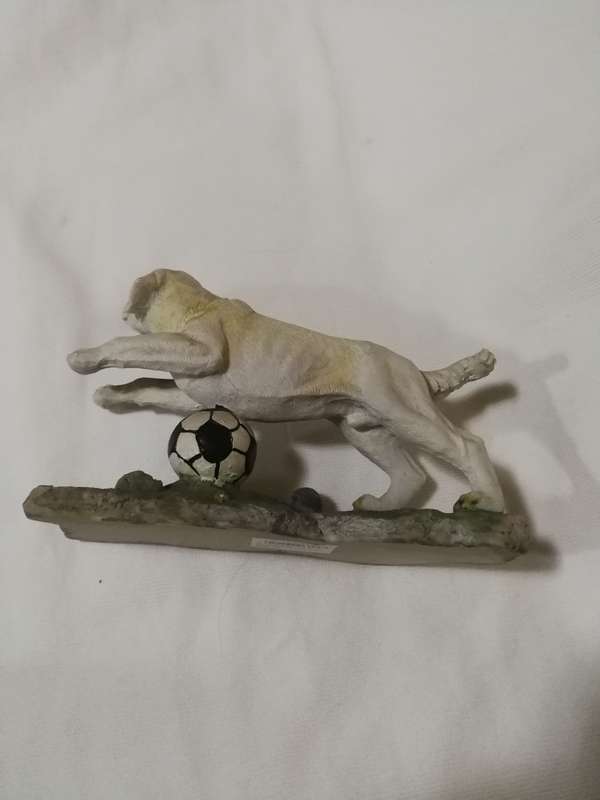 Golden Labrador Playing with Football by Chelsey Giftware