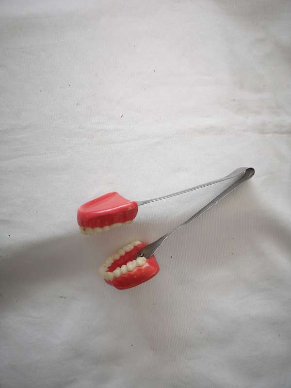 Vintage "Grandma's Ice/Sugar Tongs" 70s