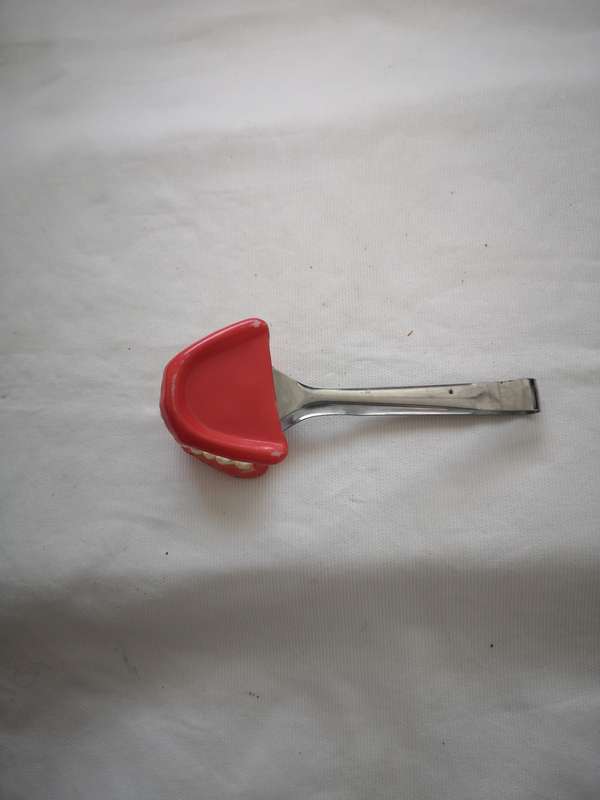 Vintage "Grandma's Ice/Sugar Tongs" 70s