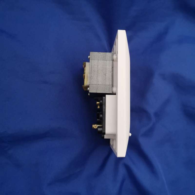 Vintage "Shavers Only" Hotel Bathroom Plugpoint with 110v & 220v outlet