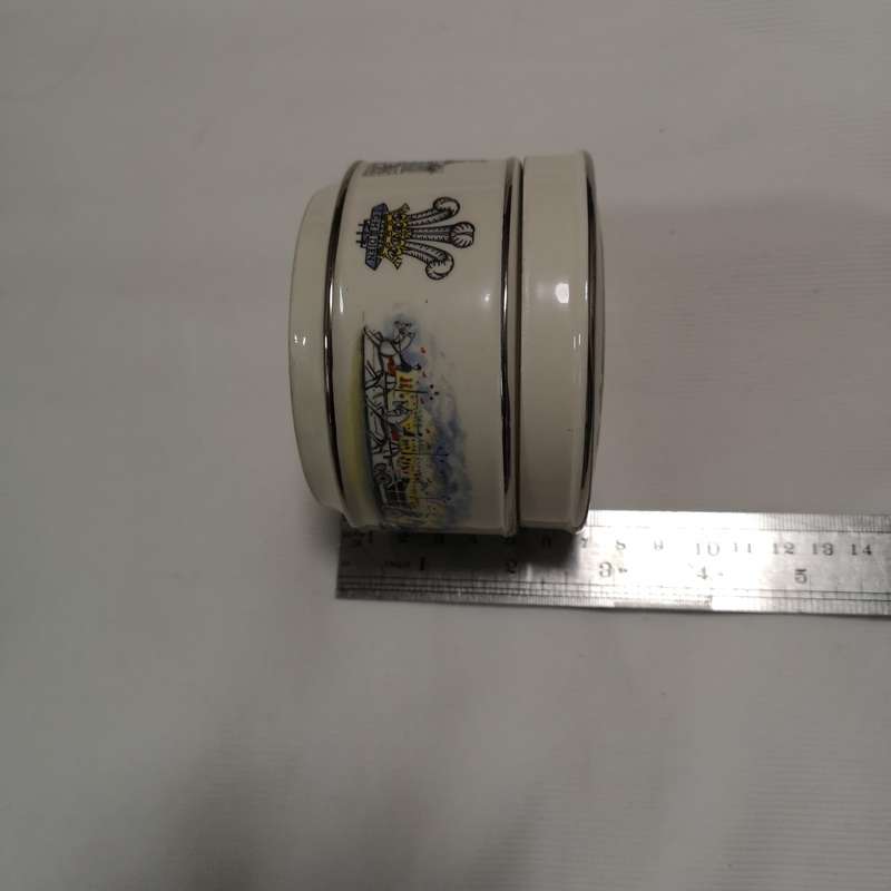 Sadler England Marriage of Prince Charles to Lady Diana Round Lidded Trinket Box