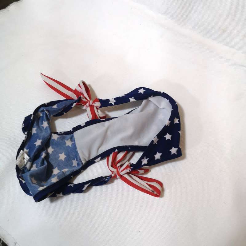 American Flag Vintage Bikini bottom