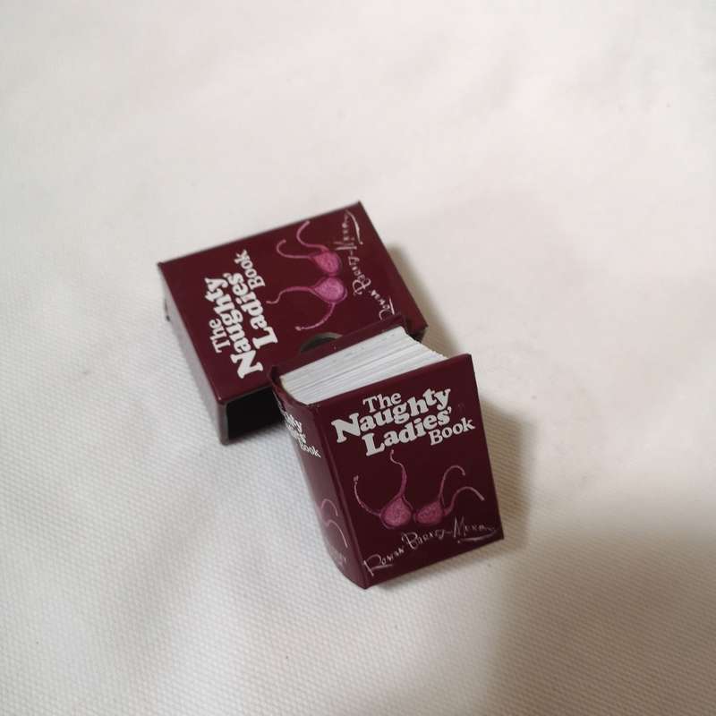 The Naughty Ladies' Mini Book. Giftbook