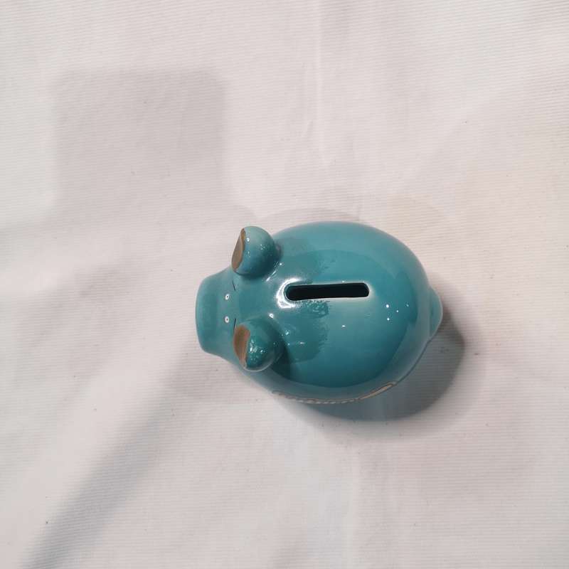 "Future Millionare" Piggy Bank- Vintage