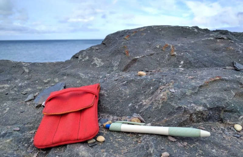 Paper Mate Biodegradable Pen 1.0 - Special Edition