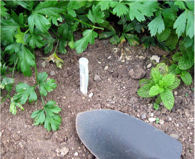 Paper Mate Biodegradable Pen 1.0 - Special Edition