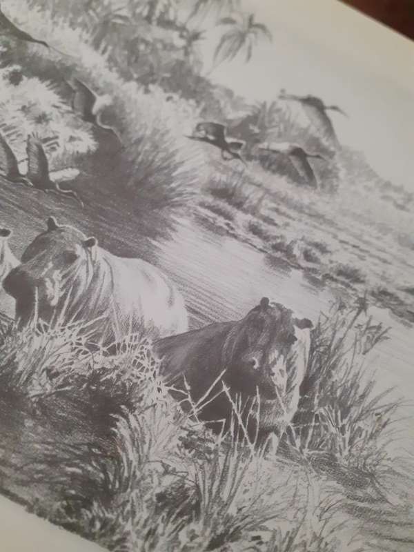 Botswana - A Brush with the Wild ~ Paul Augustinus