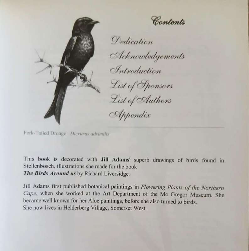 Stellenbosch Writers ~ Rosemarie Breuer