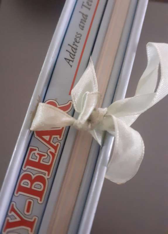 Teddy-Bear set of 2 gift books - Address / Telephone nrs & Special Occasions / Birthdays