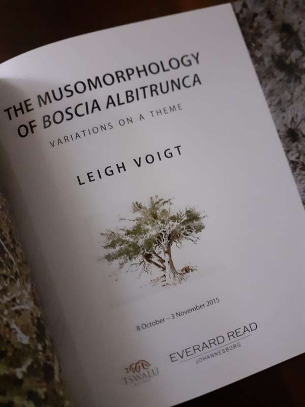 The Boscias of Tswalu ~ Leigh Voigt