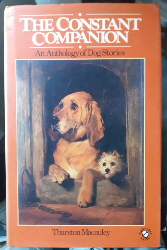The Constant Companion ~ Thurston Macauley