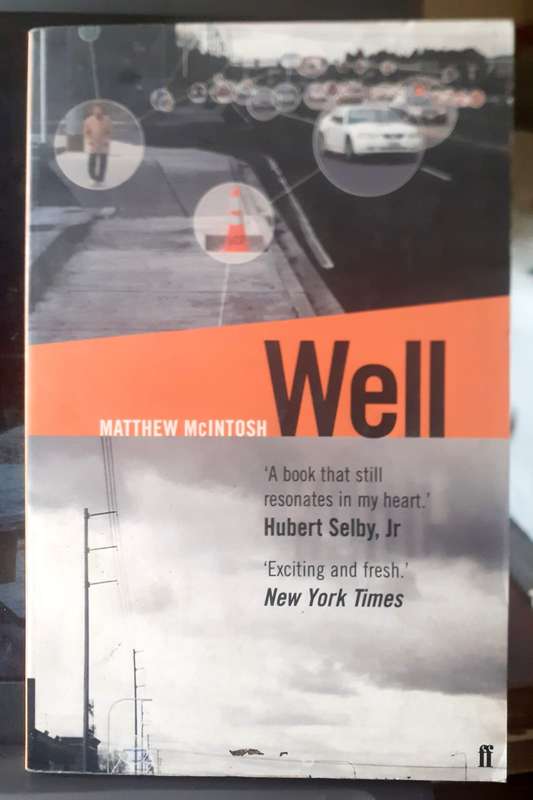 Well ~ Matthew McIntosh