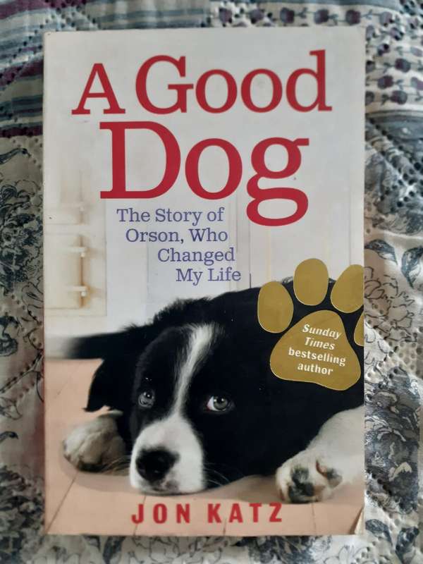 A Good Dog ~ Jon Katz