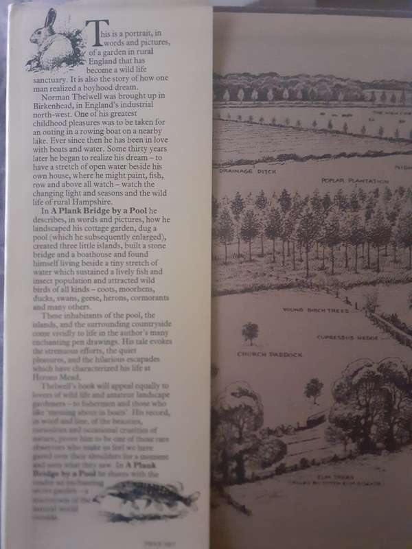 A Plank Bridge by a Pool ~ Norman Thelwell