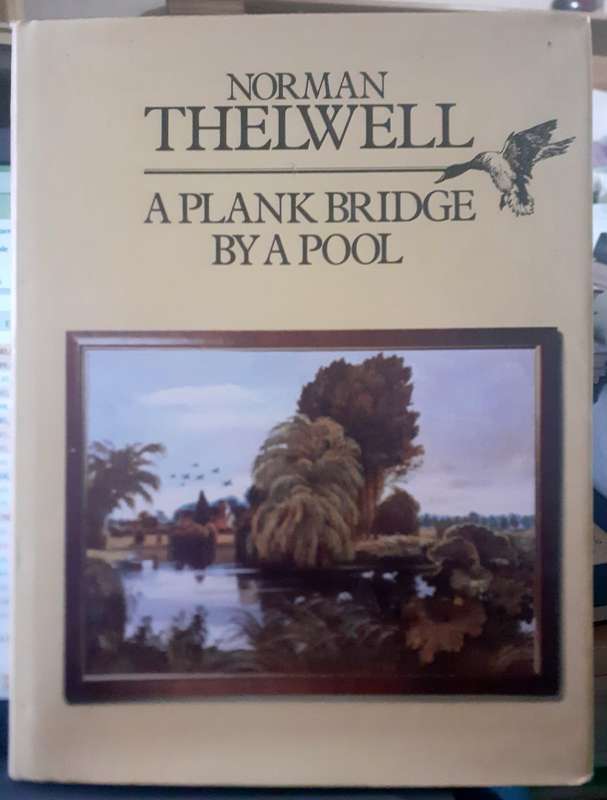 A Plank Bridge by a Pool ~ Norman Thelwell
