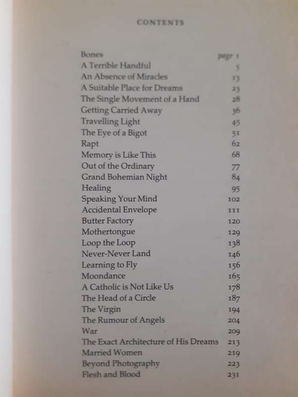 Flying Lessons ~ Susan Johnson