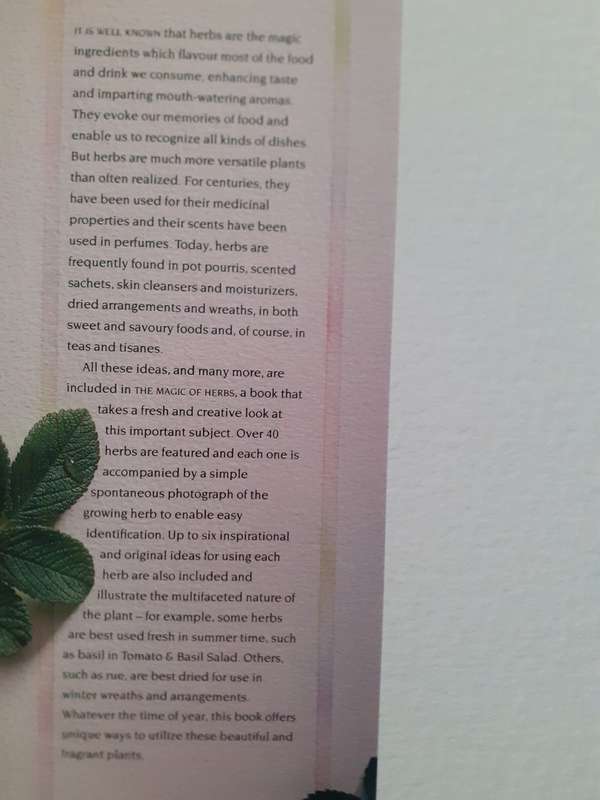 The Magic of Herbs ~ Jane Nedwick