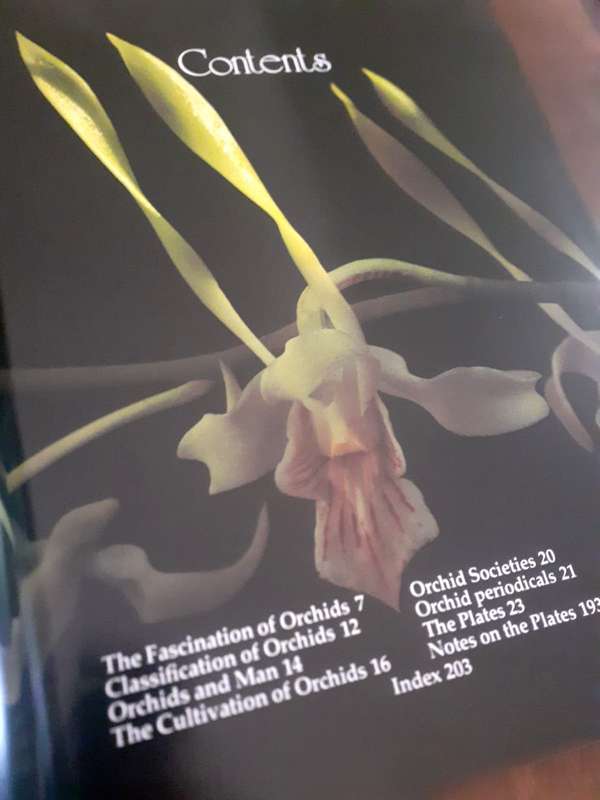 The Orchid ~ P Francis Hunt