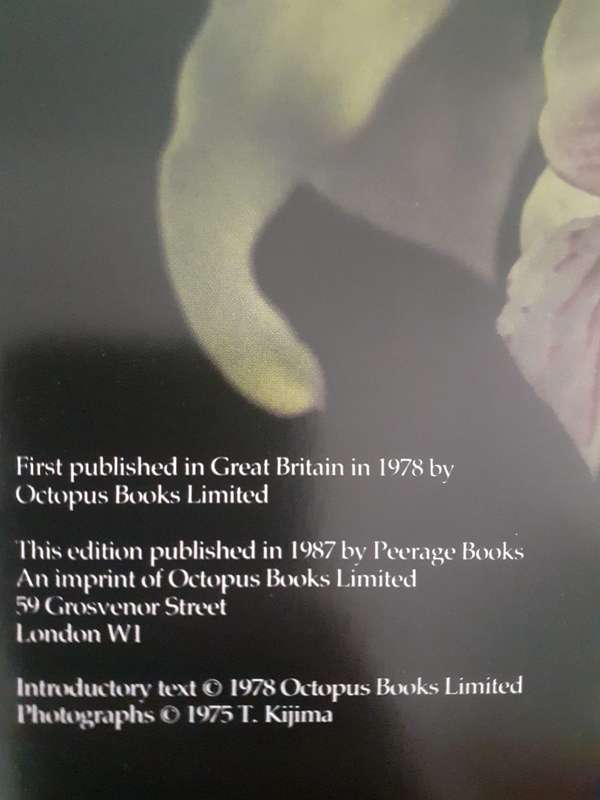 The Orchid ~ P Francis Hunt