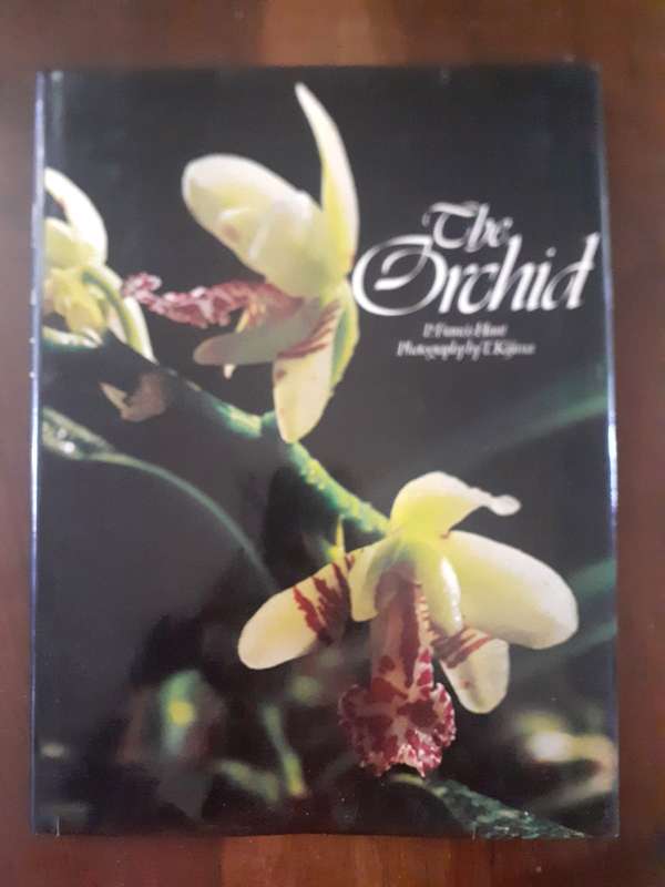 The Orchid ~ P Francis Hunt