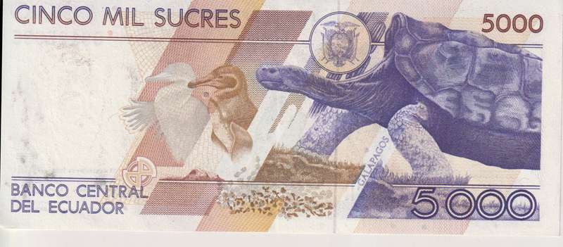 ECUADOR 5000 SUCRES 1996 P128 SERIES AM A-UNC