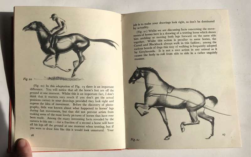 How to Draw Horses  by John Skeaping