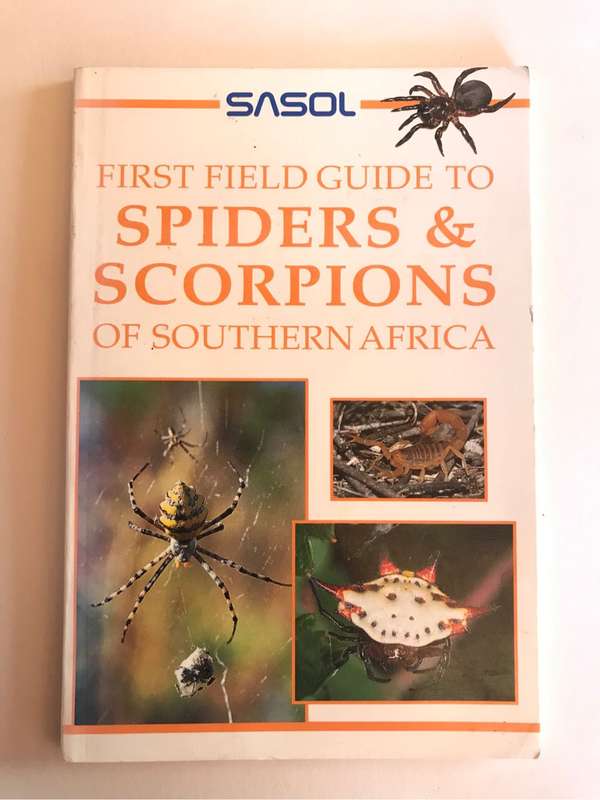 Sasol First Field Guide to Spiders and Scorpions of Southern Africa by Tracey Hawthorne