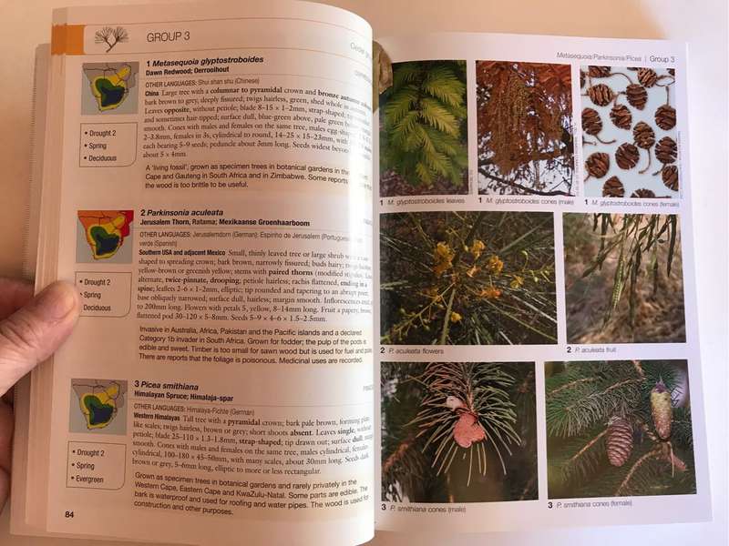 Guide to Trees Introduced Into Southern Africa by Abraham Erasmus van Wyk and Hugh Glen