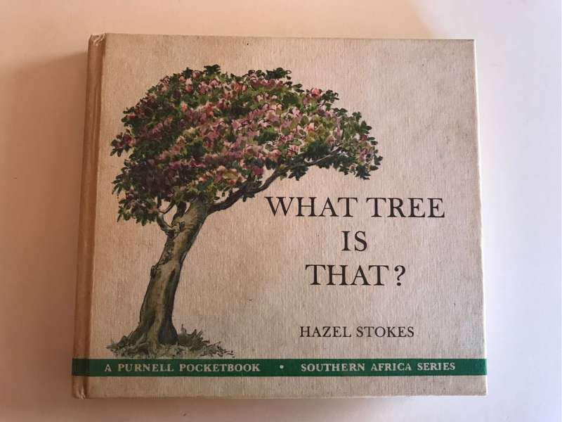 What tree is that? By Hazel Stokes