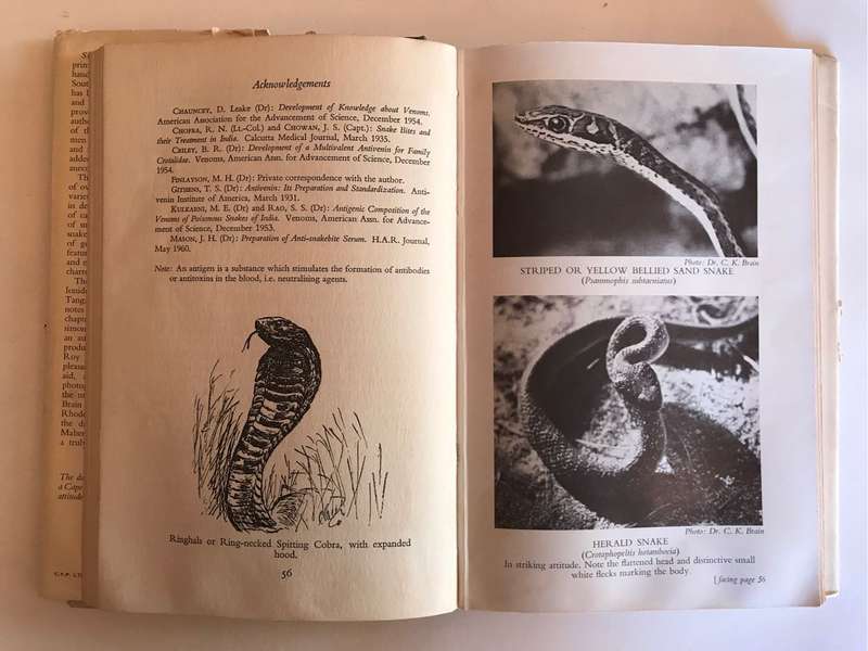 Snakes of Africa: Southern, Central and East by Richard M. Isemonger