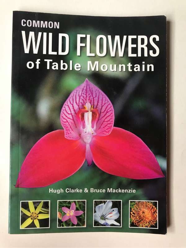 Common Wild Flowers of Table Mountain by Bruce Mackenzie and Hugh Clarke