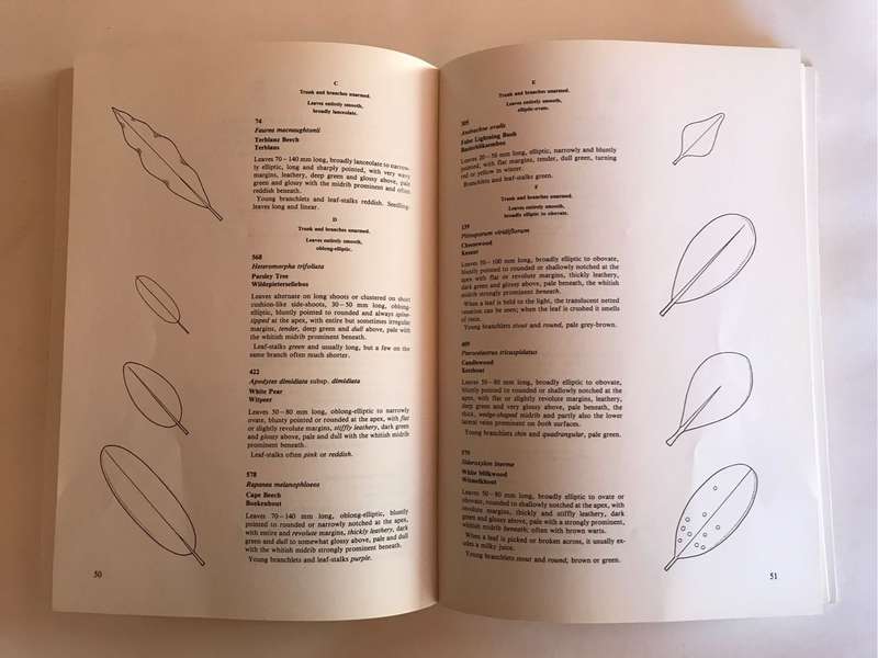 Southern Cape Tree Guide by Friedrich Von Breite