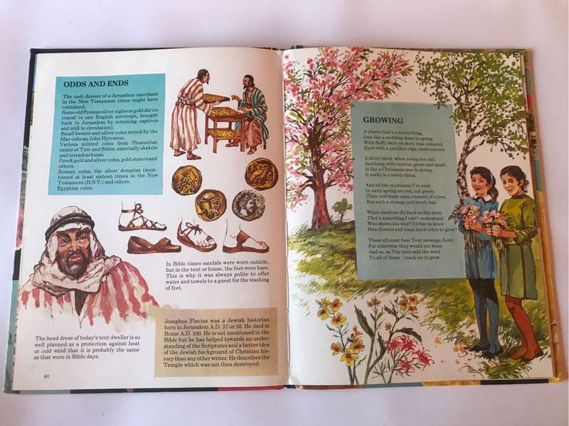 The Bible Book: Old and New Testament by Katharine MacLean