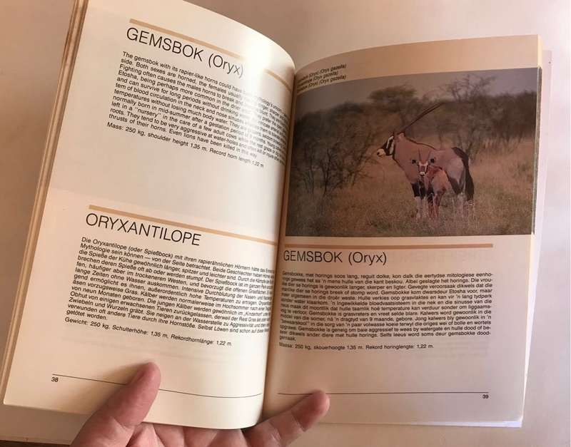 Animals of Etosha by Jock Du Preez