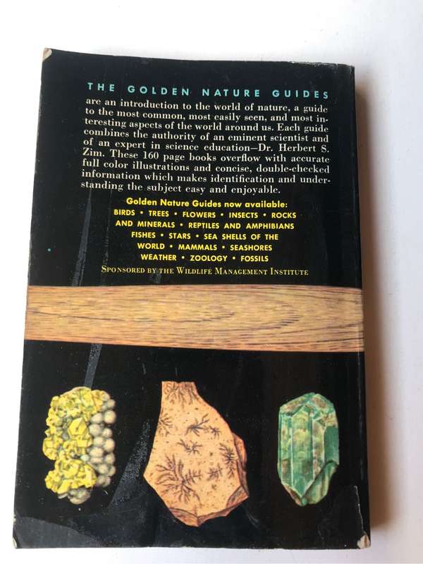 Rocks and Minerals by Herbert Zim and Paul Shaffer