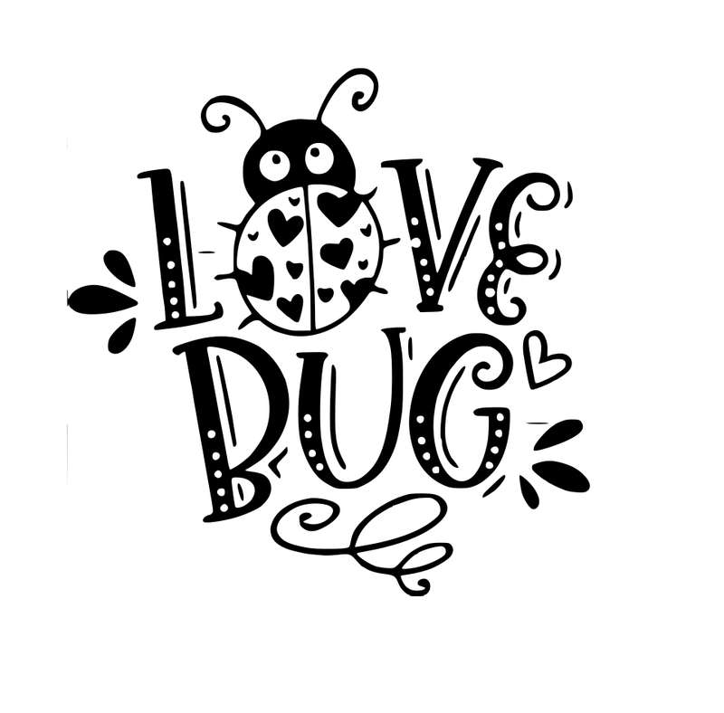 Vinyl Home Decor Wall Art - Love Bug - Black