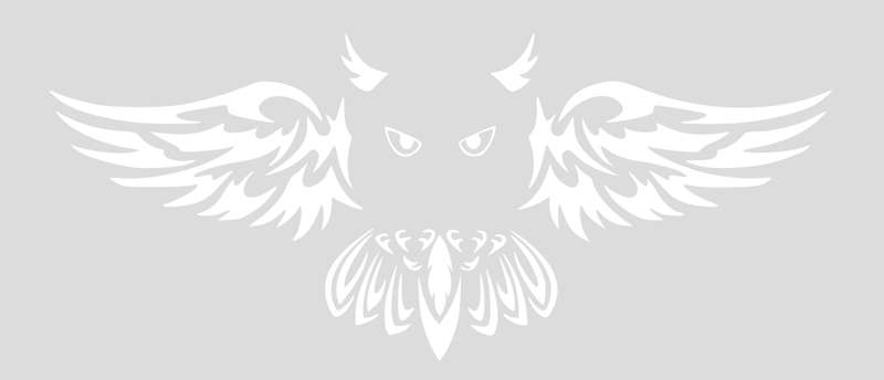 Decorative Sticker DIY Owl Set - White