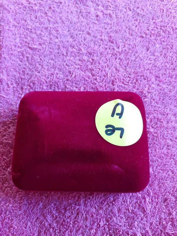 Empty Velvet Coin Holder Box. Heroes of the Birkenwood Medallion.