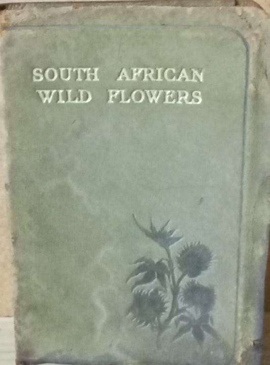 South african wild flowers